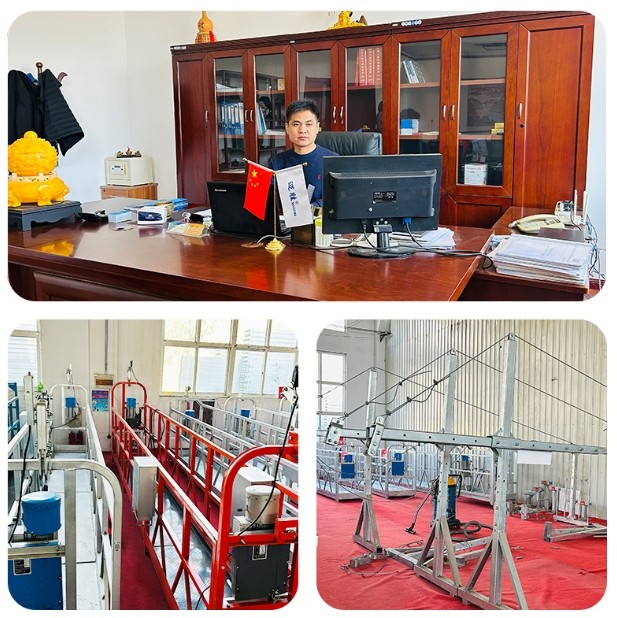 ShanDong RuiErTe Electrical Technology Co., Ltd